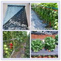 LDPE agriculture ground cover with high quality